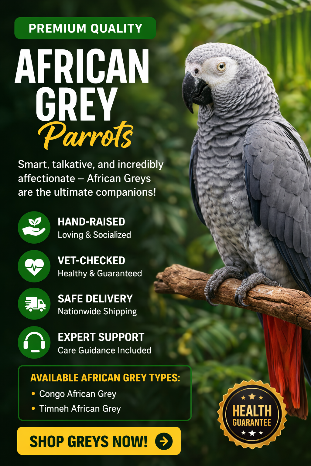 african grey parrtos