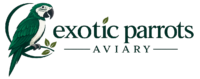 exoticparrotaviary.com